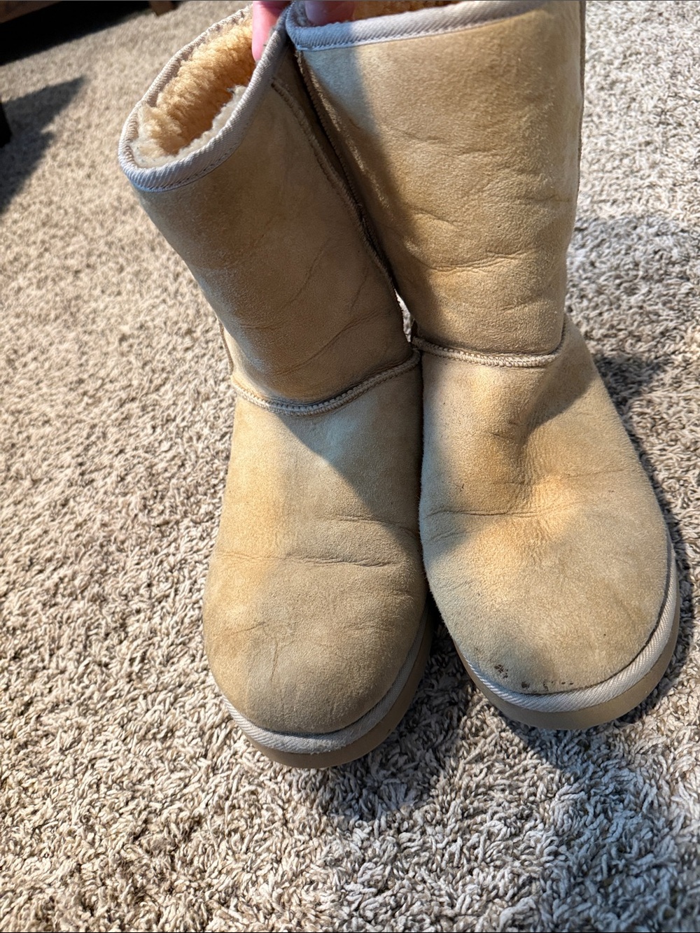 Men’s Classic Short Uggs